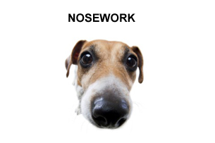 nosework